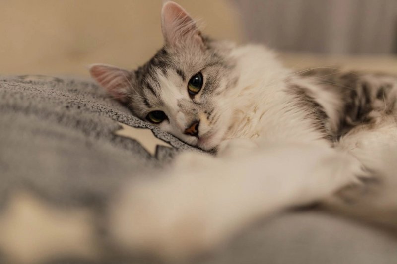 Резко потеплеет в Мурманской области