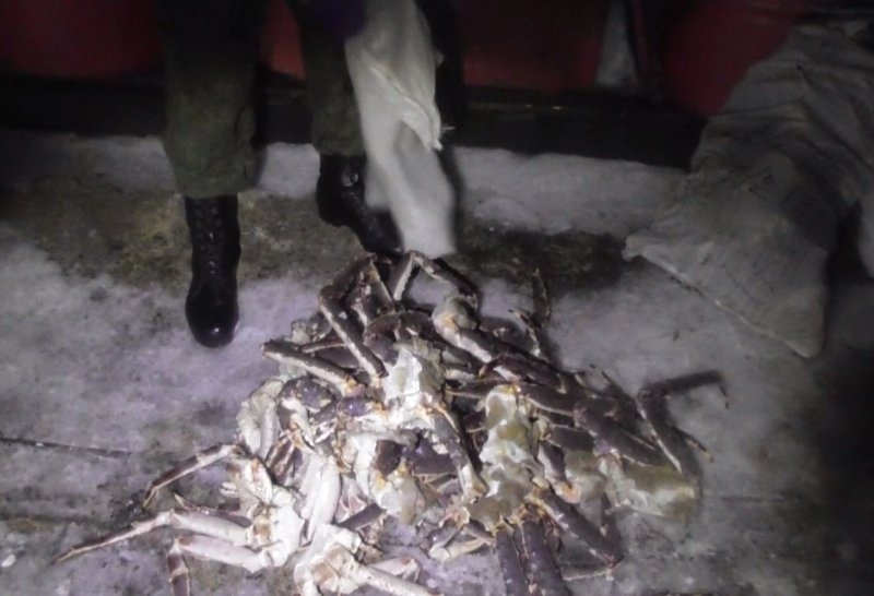 Полмиллиона заплатит мурманский браконьер за краба