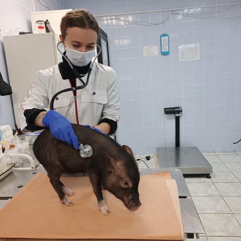 Заозерскому Пумбе сделали маникюр