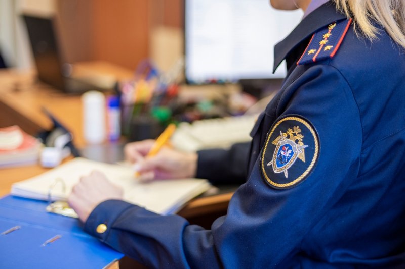 Бывшей чиновнице предъявлено окончательное обвинение в совершении нескольких преступлений в Мурманске