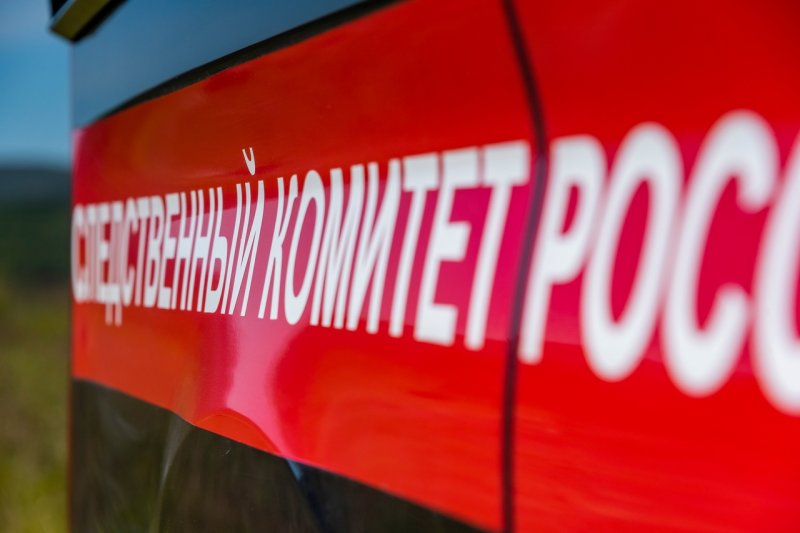 Вынесен приговор несовершеннолетним грабителям в Никеле