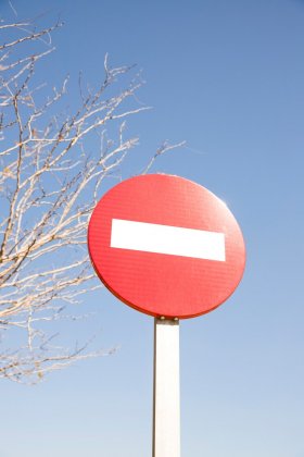 Запретят движение транспорта из-за открытия главной новогодней ели в Мурманске