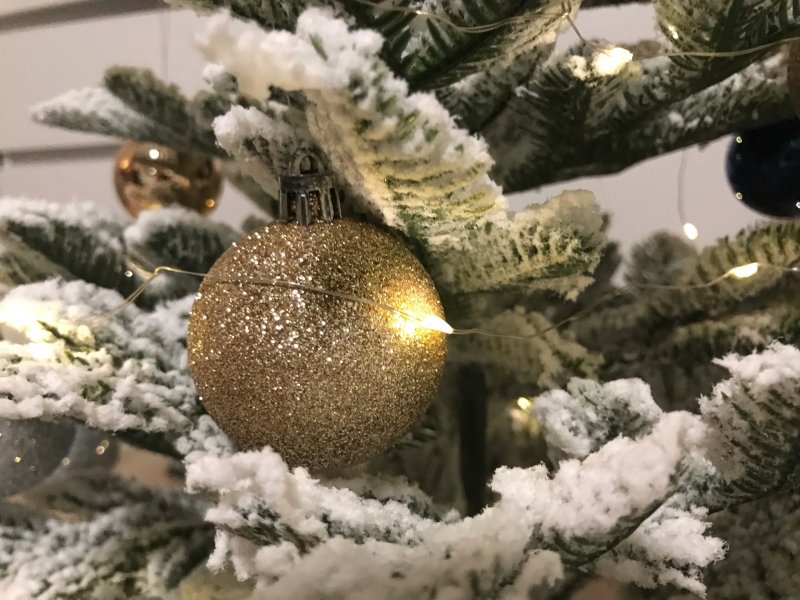 Отслужившими ёлками будут топить котельную в Мурманской области