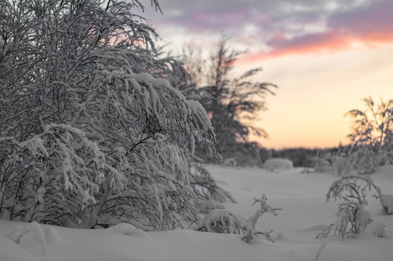 Значительно потеплеет в середине недели в Мурманске