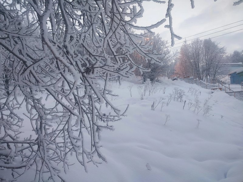 Потепление до -5° и метель принесет циклон в Мурманскую область