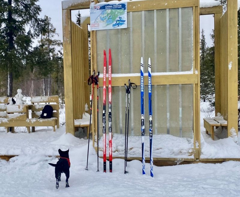 В Мончегорске стартует конкурс «Лыжня зовет»