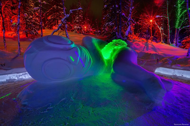 Трансфер запустили в «Таинственный лес» Кировска