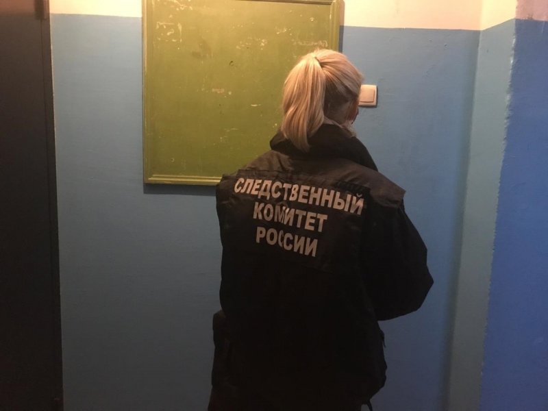 Обвиняемому в убийстве 24-летней давности в Мурманске грозит 20 лет колонии