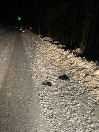 Молодых людей сбила иномарка в Зеленоборском