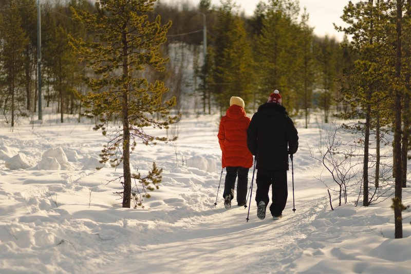 Теплые выходные ждут мурманчан