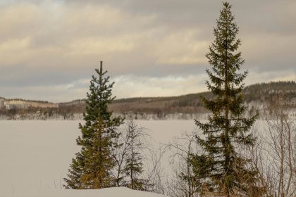 Усилится ветер и похолодает до -14° в Мурманской области