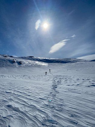 В Кировске запускают новый турмаршрут «Зимняя ботаника»