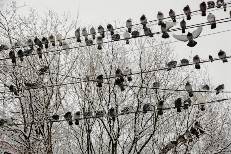 Ночные снегопады будут сильными: циклон с Балтики идет в регион