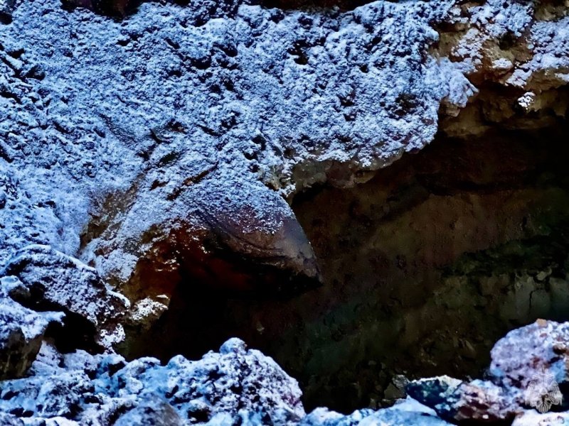 В Мурманске невские спасатели решали, как извлечь бомбу в порту