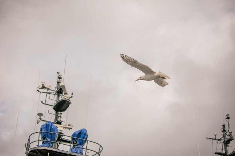 Небо надолго затянет тучами в Мурманской области