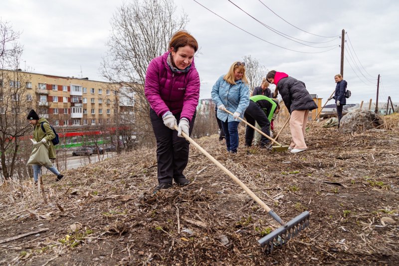 Мурманчан приглашают на большую уборку города