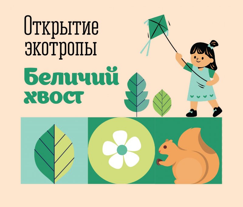 Воздушных змеев запустят на открытии экотропы «Беличий хвост» в Мурманске