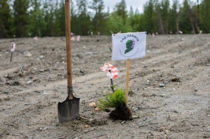 Посадить свой «Сад Памяти» зовут северян