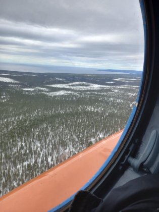 Айболиты на вертолете добрались до собак и кошек Чапомы 