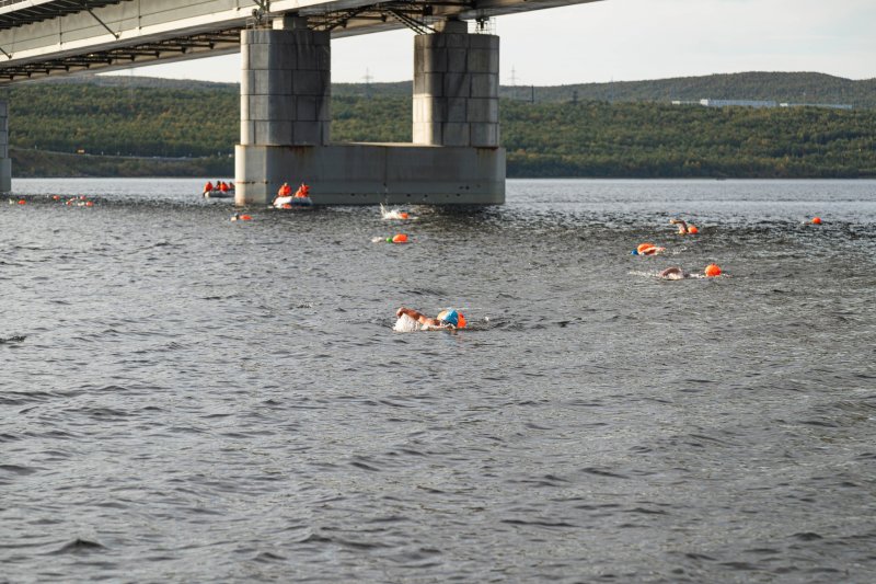 Сто тысяч рублей вручат переплывшему Кольский залив в Мурманске