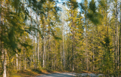 Циклоническая депрессия принесла в Мурманске +10°