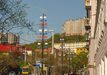 Директора ММБУ «Экосистема» освободили от должности