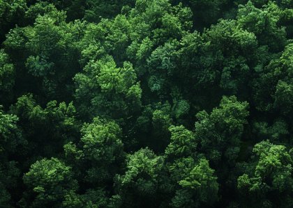 Многодетной семье в Терском районе после 2-х лет проведут воду и электричество 