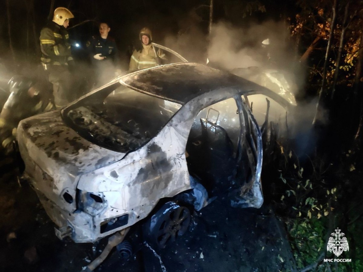 На трассе под Мончегорском дотла сгорела «Тойота» 