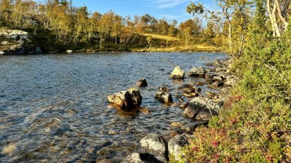 Почти на 6 градусов теплее нормы сентябрь в Мурманске