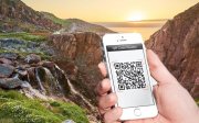 На фестиваль в Териберке только с QR-кодом