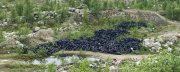 Сотни старых шин вывезли из Колы