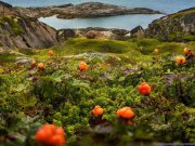 +5° прогнозирую ночью в Мурманске