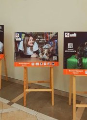 Выбрать питомца поможет выставка в Мурманске