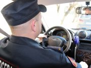 Еле удержали алковора в гипермаркете Мурманска