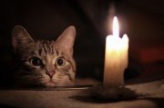 Без света остались Варзуга и Кашкаранцы