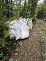 Массовый сбор ягеля обнаружили жители Заполярья