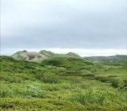 На Рыбачьем нашли неучтенное воинское захоронение времен ВОВ