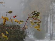 Арктические массы принесут в Мурманск ветер и -3°