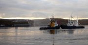 «Вальс буксиров» устроили в мурманской гавани