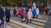 "Добрая зебра" учит безопасности на дорогах детей Мурманска