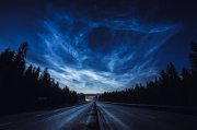 Лось, водитель и пассажир пострадали в ДТП под Апатитами