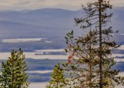 Отменен особый противопожарный режим в Мурманской области