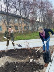 К акции "Зеленая Россия" присоединился Кильдинстрой