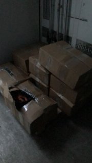 Поймали браконьера на выезде из Мурманска