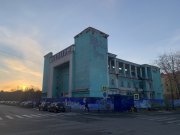 Скандальные мурманские тополя оказались гнилыми и с червями