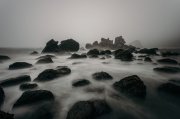 16 новых участков для рыболовства выделили в Белом море