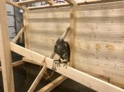 Строят дом для пернатой охраны мусорного полигона в Междуречье