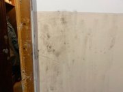 Сын забил до смерти мать: уголовное дело рассмотрит суд в Оленегорске