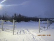 Тренировочную площадку и конюшню построили в Кировске