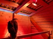 В благоустроенный домик переехали пернатые охранники мусорного полигона в Междуречье